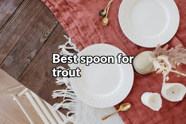 Best Spoon For Trout